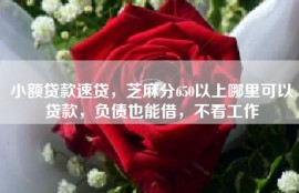 小额贷款速贷，芝麻分650以上哪里可以贷款，负债也能借，不看工作