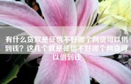 有什么贷款是征信不好哪个网贷可以借到钱？这几个就是征信不好哪个网贷可以借到钱