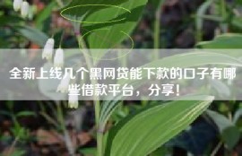 全新上线几个黑网贷能下款的口子有哪些借款平台，分享！