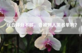 综合评分不够，会被列入黑名单吗？