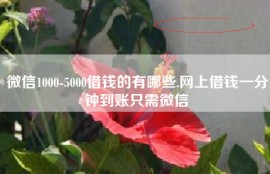 微信1000-5000借钱的有哪些,网上借钱一分钟到账只需微信