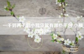 一千到两千的小额贷款有哪些平台 小额借钱2000