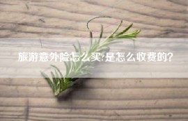 旅游意外险怎么买?是怎么收费的？