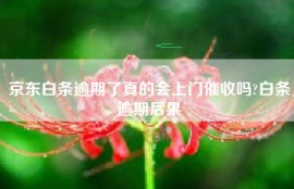 京东白条逾期了真的会上门催收吗?白条逾期后果
