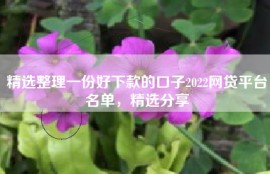 精选整理一份好下款的口子2022网贷平台名单，精选分享