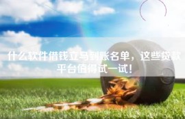 什么软件借钱立马到账名单，这些贷款平台值得试一试！