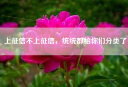 上征信不上征信，统统都给你们分类了