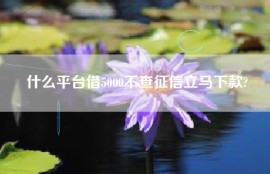 什么平台借5000不查征信立马下款?