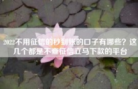 2022不用征信的秒到账的口子有哪些？这几个都是不查征信立马下款的平台