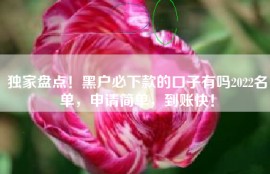 独家盘点！黑户必下款的口子有吗2022名单，申请简单，到账快！