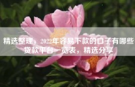 精选整理，2022年容易下款的口子有哪些贷款平台一览表，精选分享