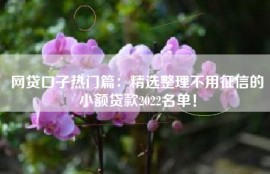 网贷口子热门篇：精选整理不用征信的小额贷款2022名单！