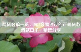 网贷名单一览，2022容易通过的正规贷款借款口子，精选分享