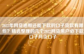 2022年网贷逾期还能下款的口子贷款有哪些？精选整理的几个2022网贷黑户必下款口子网贷口子