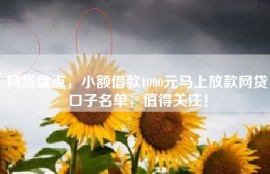 网贷盘点，小额借款1000元马上放款网贷口子名单，值得关注！