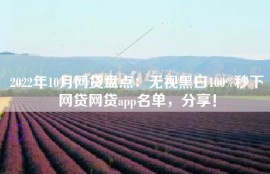 2022年10月网贷盘点：无视黑白100%秒下网贷网贷app名单，分享！