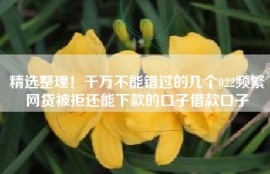 精选整理！千万不能错过的几个022频繁网贷被拒还能下款的口子借款口子