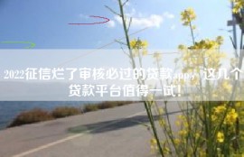 2022征信烂了审核必过的贷款app，这几个贷款平台值得一试！