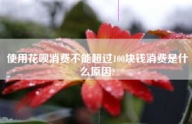 使用花呗消费不能超过100块钱消费是什么原因?