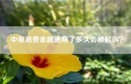中原消费金融逾期了多久会被起诉？