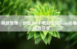 精选整理一份借2000不看征信贷款app名单，精选分享