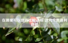 在哪里可以借钱比较正规?这几个靠谱利息低
