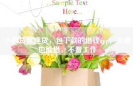 小额贷款速贷，包下款的借钱app，负债也能借，不看工作