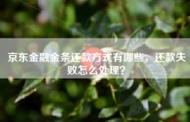 京东金融金条还款方式有哪些，还款失败怎么处理？