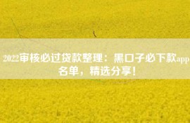 2022审核必过贷款整理：黑口子必下款app名单，精选分享！