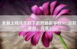 全新上线几个好下款的借款平台2022贷款平台，分享！