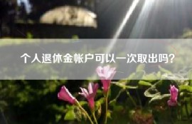个人退休金帐户可以一次取出吗？