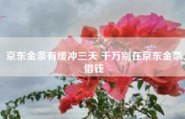 京东金条有缓冲三天 千万别在京东金条借钱