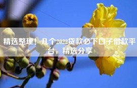 精选整理！几个2022贷款必下口子借款平台，精选分享