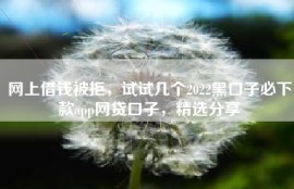 网上借钱被拒，试试几个2022黑口子必下款app网贷口子，精选分享