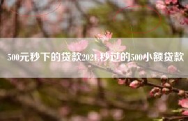 500元秒下的贷款2021,秒过的500小额贷款