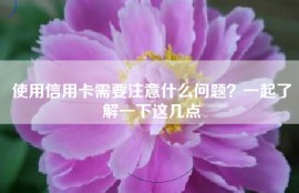 使用信用卡需要注意什么问题？一起了解一下这几点