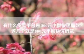 有什么贷款平台是1000元小额快速借款？这几个就是1000元小额快速借款
