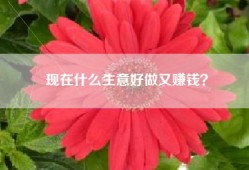 现在什么生意好做又赚钱？