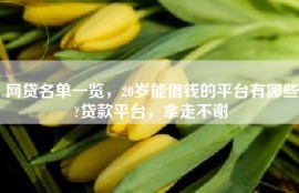 网贷名单一览，20岁能借钱的平台有哪些?贷款平台，拿走不谢