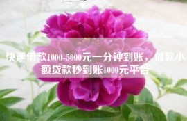 快速借款1000-5000元一分钟到账，借款小额贷款秒到账1000元平台