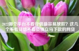 2022哪个平台不看征信最容易放款？这几个不看征信不看负债立马下款的网贷