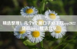 精选整理！几个6个黑口子必下款app2022贷款app，精选分享