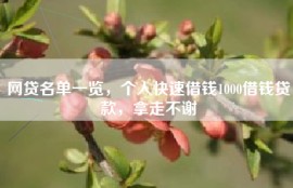 网贷名单一览，个人快速借钱1000借钱贷款，拿走不谢