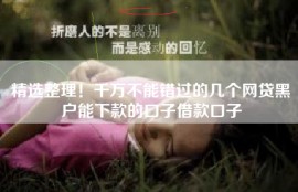 精选整理！千万不能错过的几个网贷黑户能下款的口子借款口子