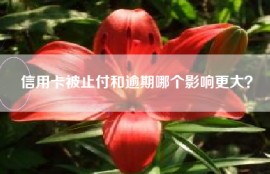 信用卡被止付和逾期哪个影响更大？