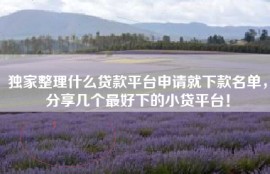 独家整理什么贷款平台申请就下款名单，分享几个最好下的小贷平台！