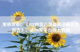 重磅发布！《P2P网贷合规备案进度全景报告》：这100家平台榜上有名