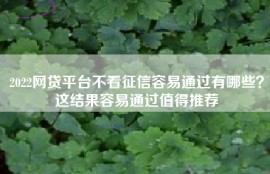2022网贷平台不看征信容易通过有哪些？这结果容易通过值得推荐
