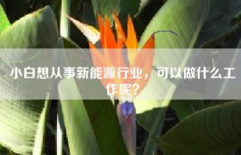小白想从事新能源行业，可以做什么工作呢？