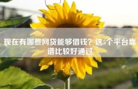 现在有哪些网贷能够借钱？这5个平台靠谱比较好通过